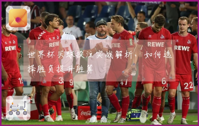 世界杯买球投注实战解析，如何选择胜负提升胜算