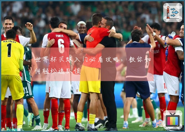 世界杯买球入门必看攻略，教你如何轻松选队伍