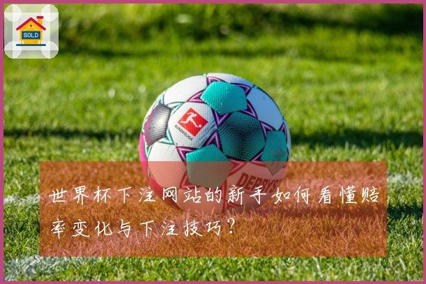 世界杯下注网站的新手如何看懂赔率变化与下注技巧？