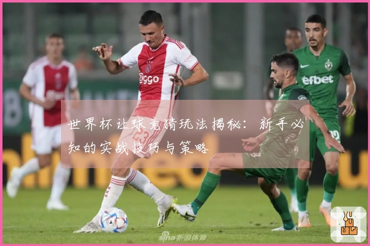 世界杯让球竞猜玩法揭秘：新手必知的实战技巧与策略