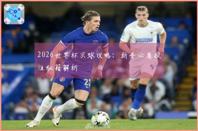 2026世界杯买球攻略：新手必看投注秘籍解析
